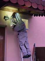 Technický zásah – odstránenie osieho hniezda